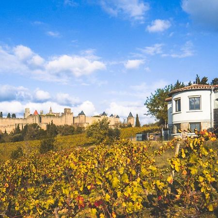 L'Ecrin De La Cite, Coeur De Vignes - Vivez Une Experience Inoubliable ! Carcassonne Dış mekan fotoğraf