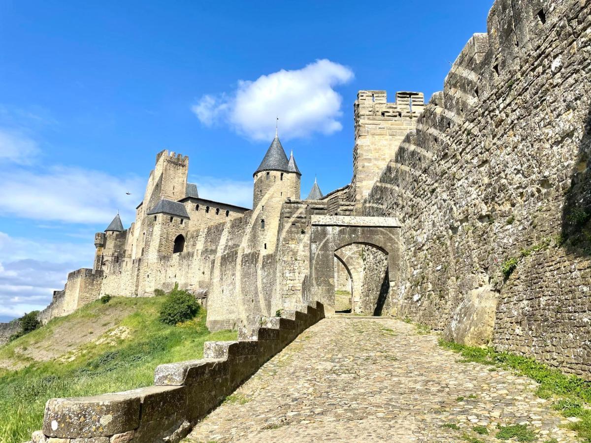 L'Ecrin De La Cite, Coeur De Vignes - Vivez Une Experience Inoubliable ! Carcassonne Dış mekan fotoğraf