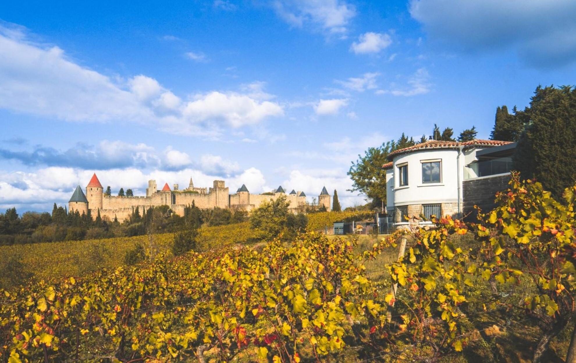 L'Ecrin De La Cite, Coeur De Vignes - Vivez Une Experience Inoubliable ! Carcassonne Dış mekan fotoğraf